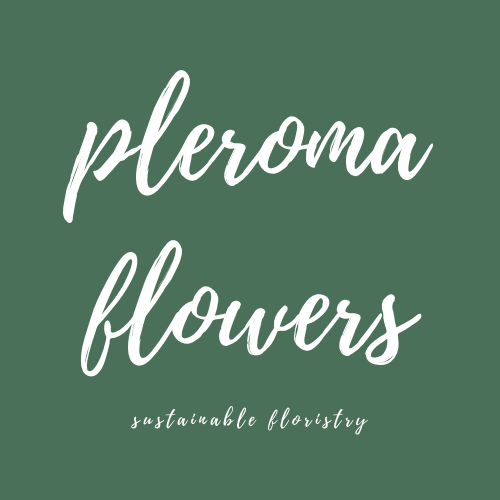 Pleroma Flowers