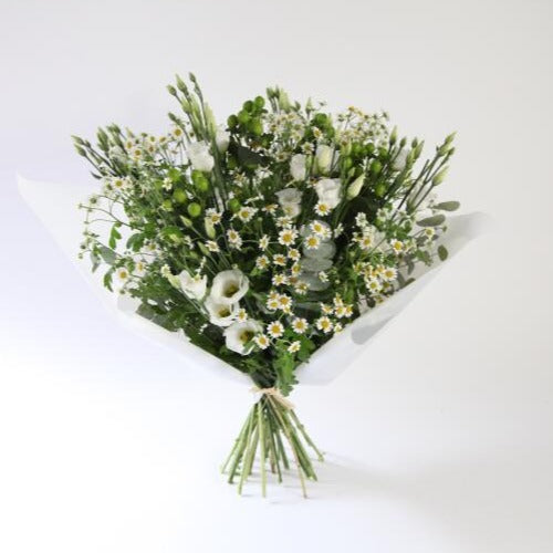 FORDINGLEY - Pleroma Flowers